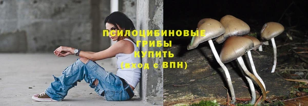 скорость Баксан