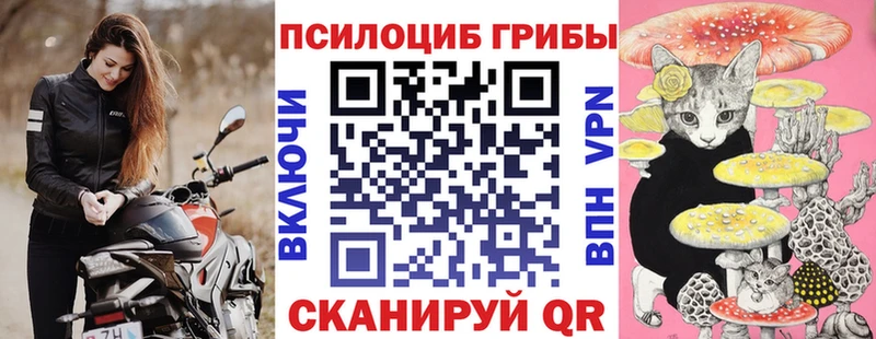 купить закладку  Лесной  Галлюциногенные грибы MAGIC MUSHROOMS 